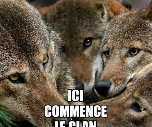 social-Loups_clan